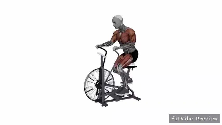 Οπτική επίδειξη της άσκησης Assault Airbike - Σπριντ