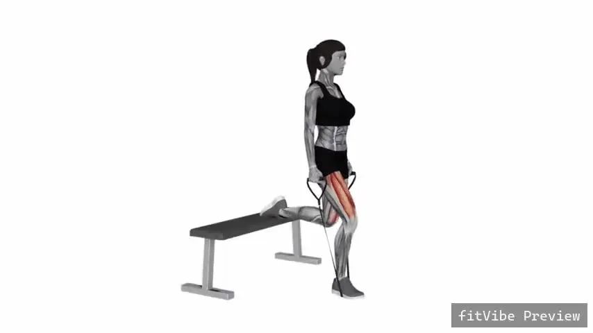 Οπτική επίδειξη της άσκησης Μονόποδο split squat με λάστιχο
