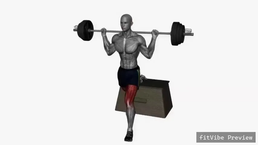 Οπτική επίδειξη της άσκησης Βουλγαρικό Squat με Μπάρα (αριστερό μπροστινό-πίσω πλάνο)