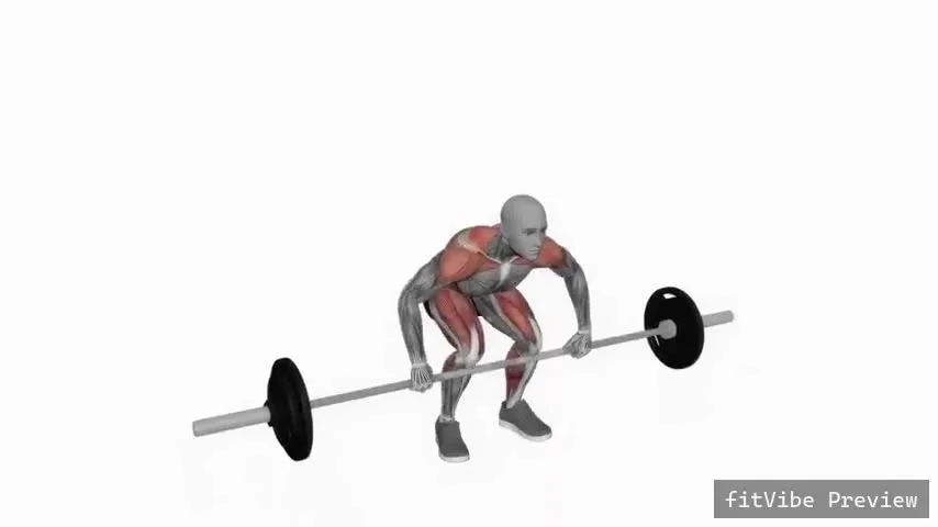 Οπτική επίδειξη της άσκησης Power clean με μπάρα