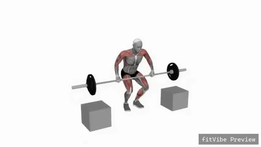 Οπτική επίδειξη της άσκησης Power clean από μπλοκ με μπάρα