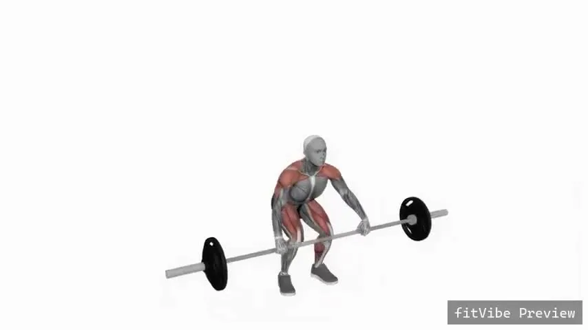 Οπτική επίδειξη της άσκησης Power snatch με μπάρα