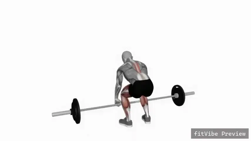 Οπτική επίδειξη της άσκησης Ρουμανικό deadlift με μπάρα