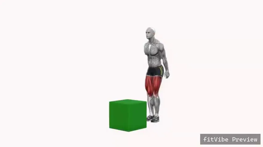 Οπτική επίδειξη της άσκησης Άλμα Squat σε κουτί