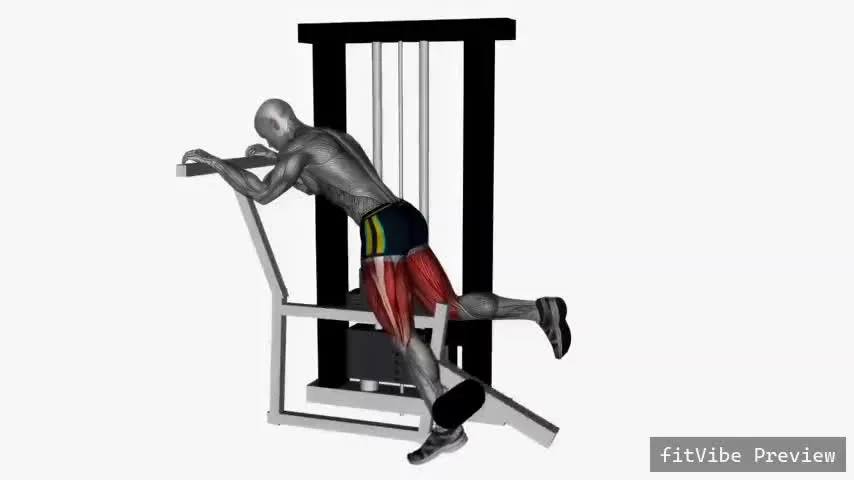 Οπτική επίδειξη της άσκησης Γονατιστές κάμψεις οπίσθιων μηριαίων σε μηχάνημα