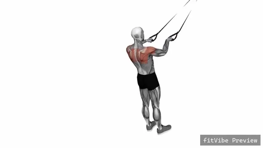 Οπτική επίδειξη της άσκησης Face Pull με ιμάντες αιώρησης